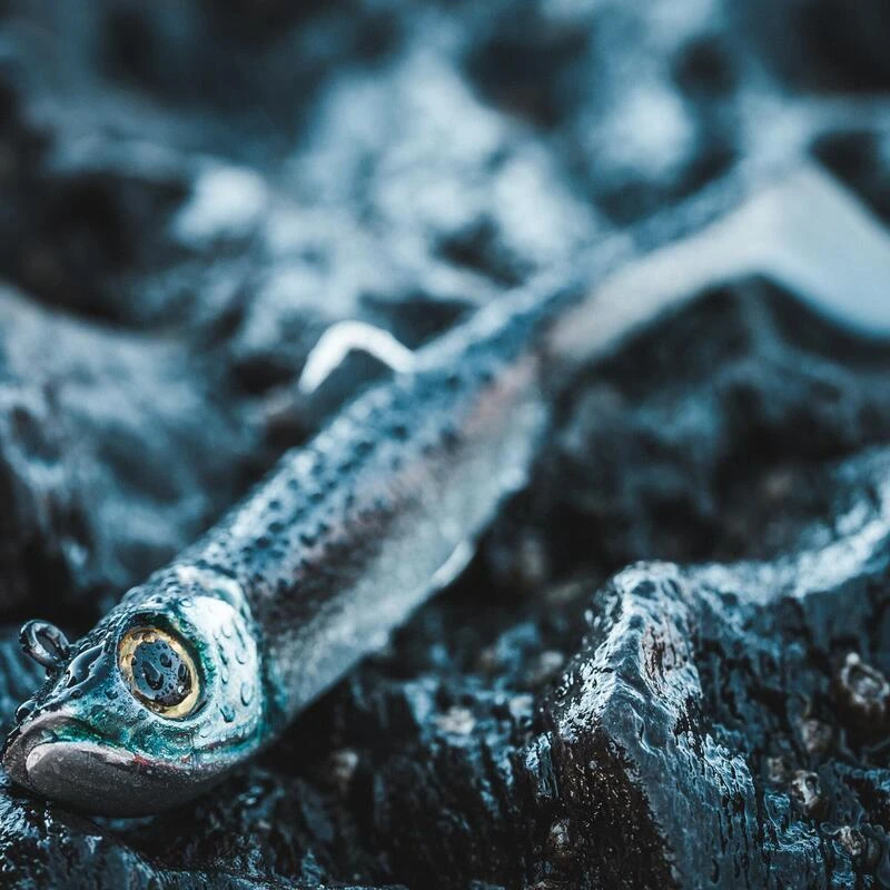 COMBO Leurres Souples Shad Texan ANCHO 120 50g Dos Noir/dos Blanc Pêche En Mer – Image 4