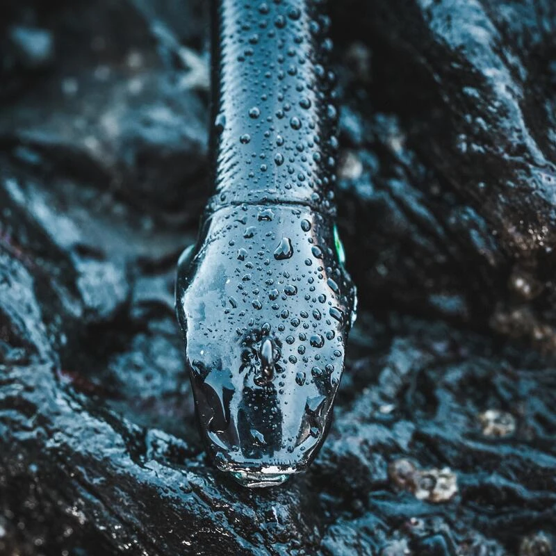 COMBO Leurres Souples Shad Texan ANCHO 120 50g Dos Noir/dos Blanc Pêche En Mer – Image 5