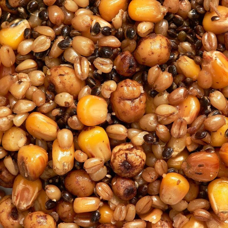 Mélange Graines Cuites 1kg Graines Pêche De La Carpe – Image 2